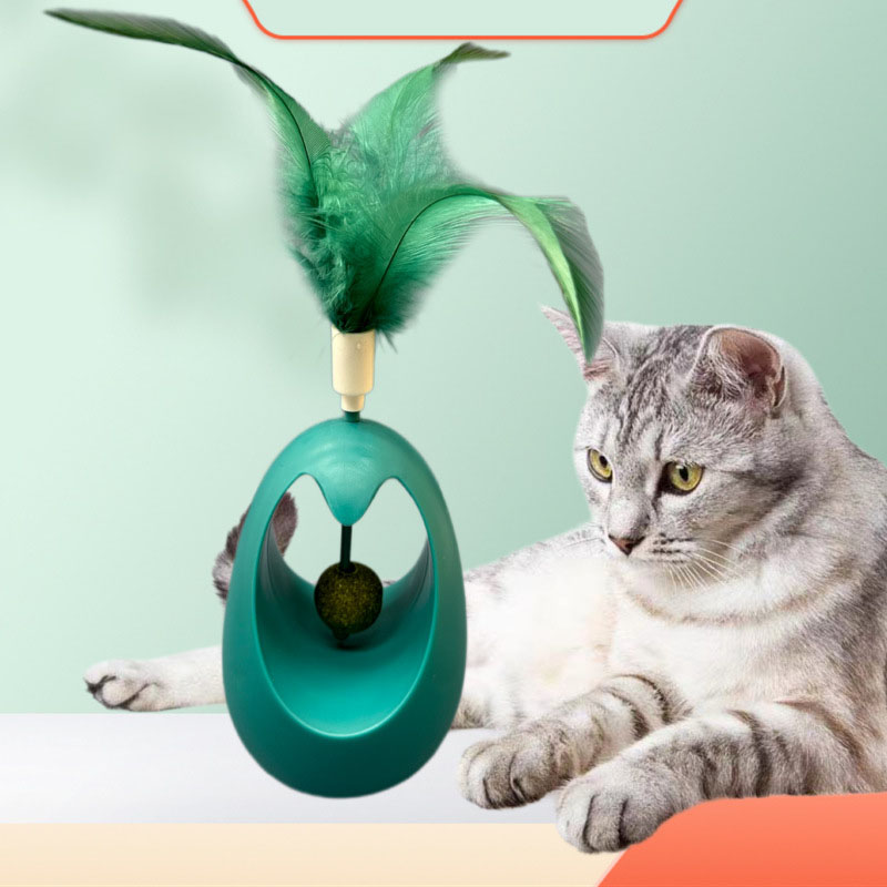 Gezonde kattenkruid interactie - Healthy Snacks Food recensie en prijs