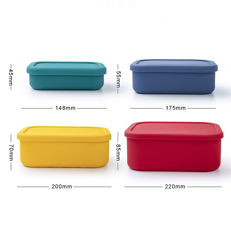 Siliconen Lunchbox Voor Voedse - Food And Snacks For Picnic recensie en prijs