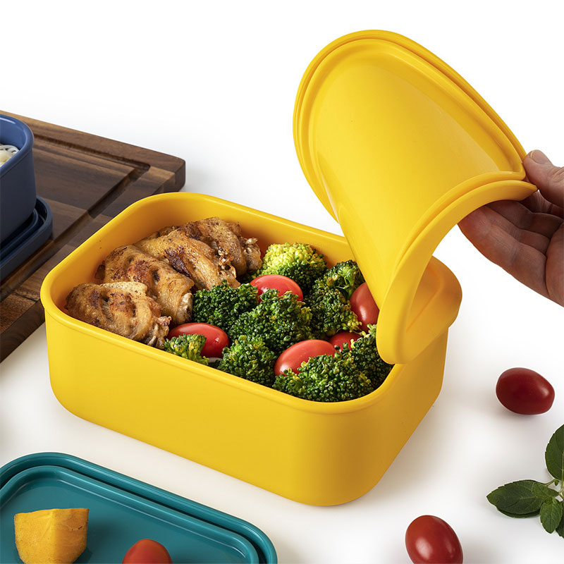 Siliconen Lunchbox Voor Voedse - Food And Snacks For Picnic recensie en prijs